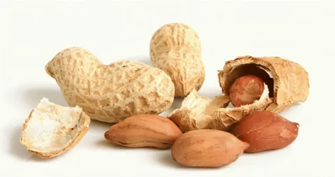 قیمت خرید بادام زمینی دو آتیشه + فروش ویژه